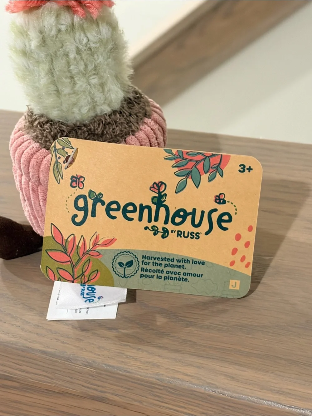 🌱 Greenhouse Russ Mara Flowering Cactus Mini Plush Potted Plant Corduroy 6” BNWT